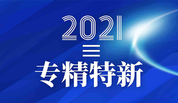 浙江省2021年度专精特新企业